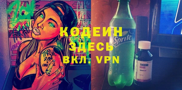 мдпв Вяземский