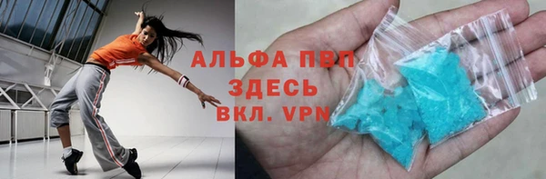 мдпв Вяземский