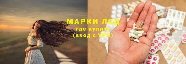 мдпв Вяземский