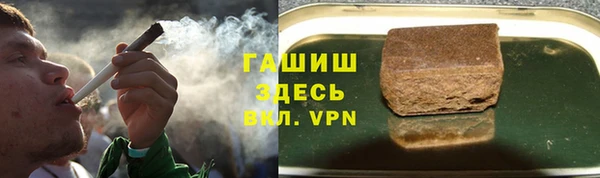 мдпв Вяземский
