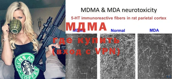 мдпв Вяземский
