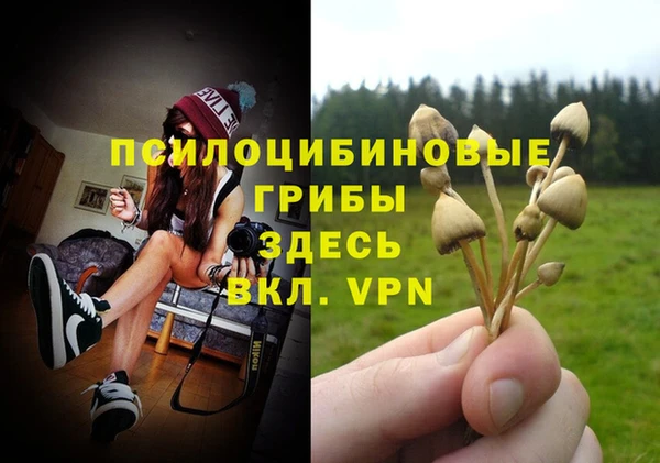 спайс Вязники