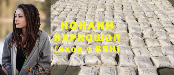 мдпв Вяземский