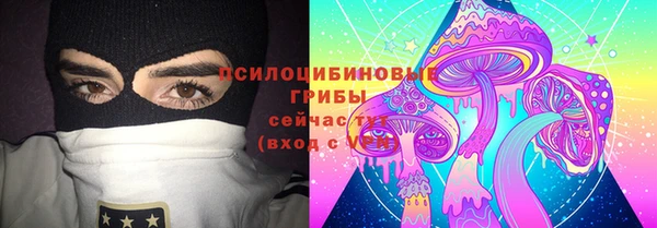 мдпв Вяземский