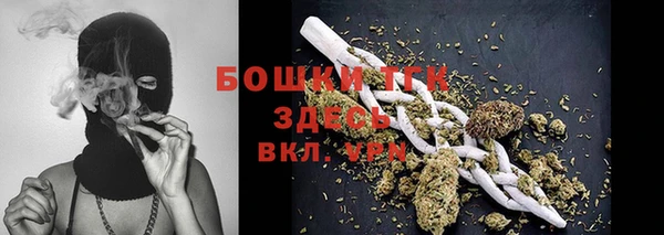 мдпв Вяземский
